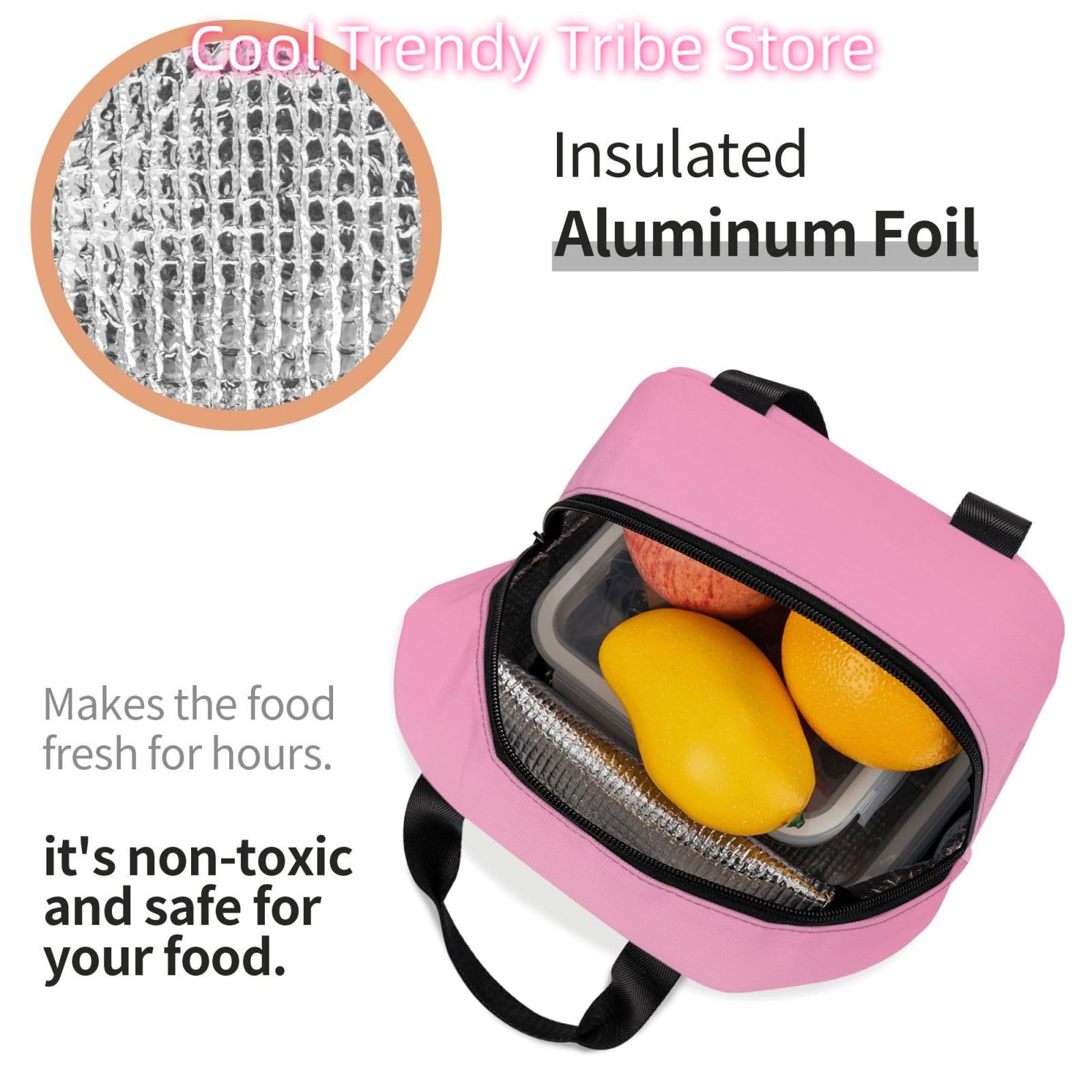 Insulated Lunch Bag for Women  - Women Hand Bags For Office 리뷰 및 가격