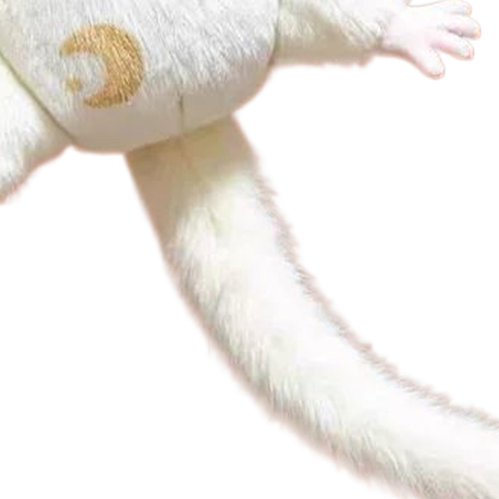 Cute Flying Squirrel Plush Pen - Women'S Bags Going Out 리뷰 및 가격
